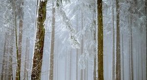 roadtrip in de winter